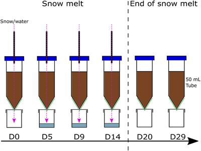 Bacterial Colonisation: From Airborne Dispersal to Integration Within the Soil Community